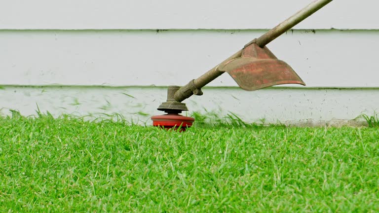 Best Lawn Watering Services  in Mayflower Village, CA